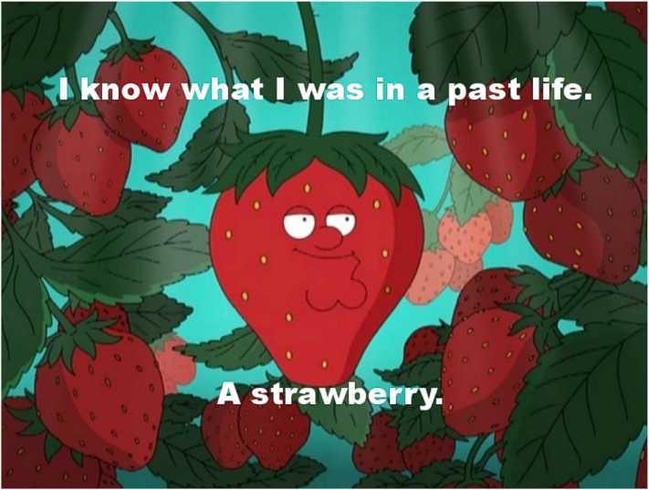 PeterGriffinStrawberry
